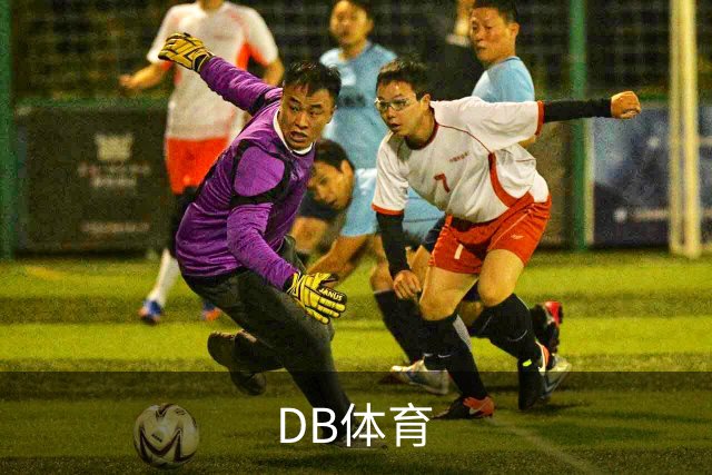 DB体育公司介绍图片